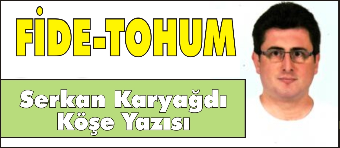 FİDE-TOHUM