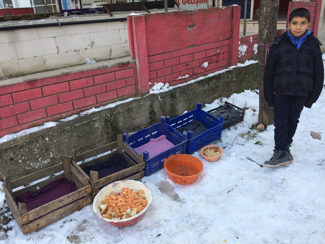 SOĞUK GÜNLERDE HAYVANLARI UNUTMADI