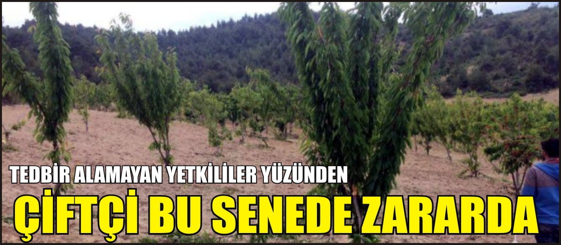 ÇİFTÇİ BU SENEDE ZARARDA