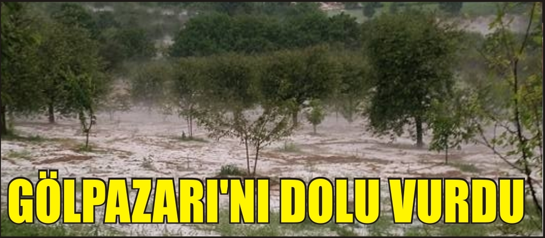 GÖLPAZARI’NI DOLU VURDU