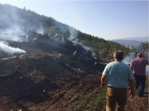 BALÇIKHİSAR'DA SAYA YANGINI