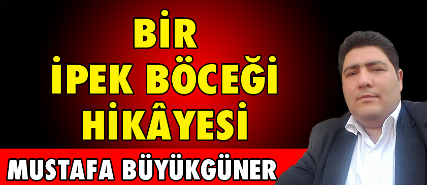 BİR İPEK BÖCEĞİ HİKÂYESİ