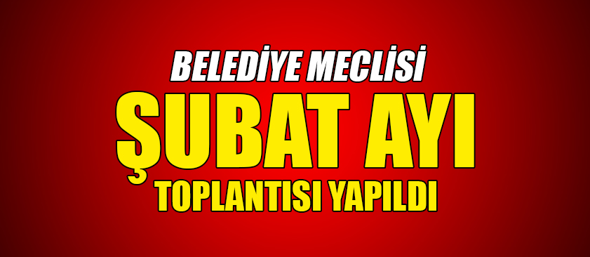 BELEDİYE MECLİSİ ŞUBAT AYI TOPLANTISI YAPILDI