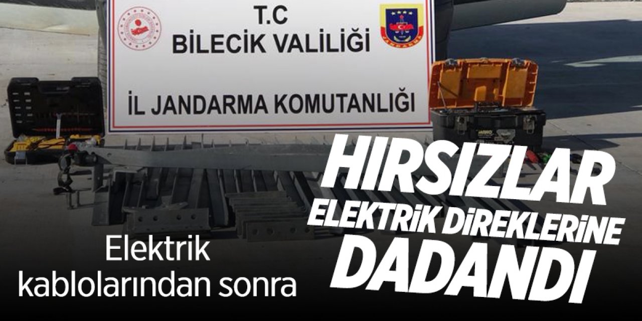 Elektrik kablolarından sonra hırsızlar elektrik direklerine dadandı