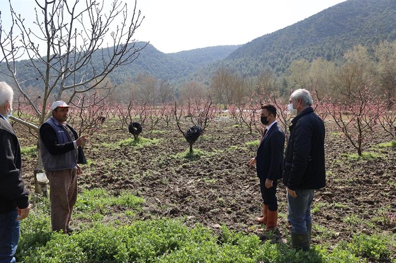 BİLECİK TARIM VE ORMAN İL MÜDÜRÜ OSMANELİ’DE HASAR TESPİTİNDE BULUNDU