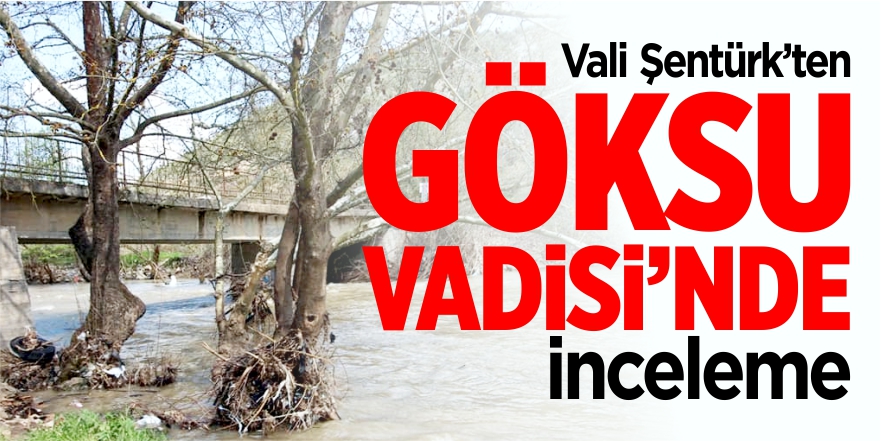 Vali Şentürk'ten Göksu Vadisi'nde inceleme