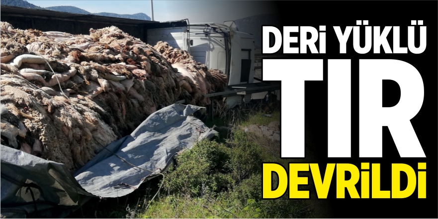 Deri yüklü tır devrildi