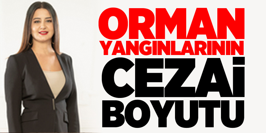 ORMAN YANGINLARININ CEZAİ BOYUTU