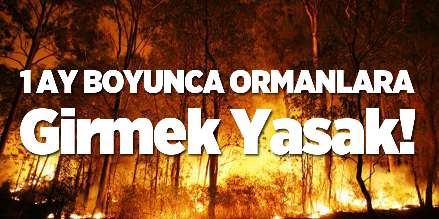 1 AY BOYUNCA ORMANLARA GİRMEK YASAK6831 Sayılı Orman Kanunun 69. Maddesine göre ve Bakanlar Kurulunun 10.09.1976 gün 7/12520 sayılı kararıyla yürürlüğe giren “Orman Yangınlarının Önlenmesi ve Söndürülmesinde görevlilerin gör