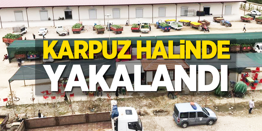 KARPUZ HALİNDE YAKALANDI