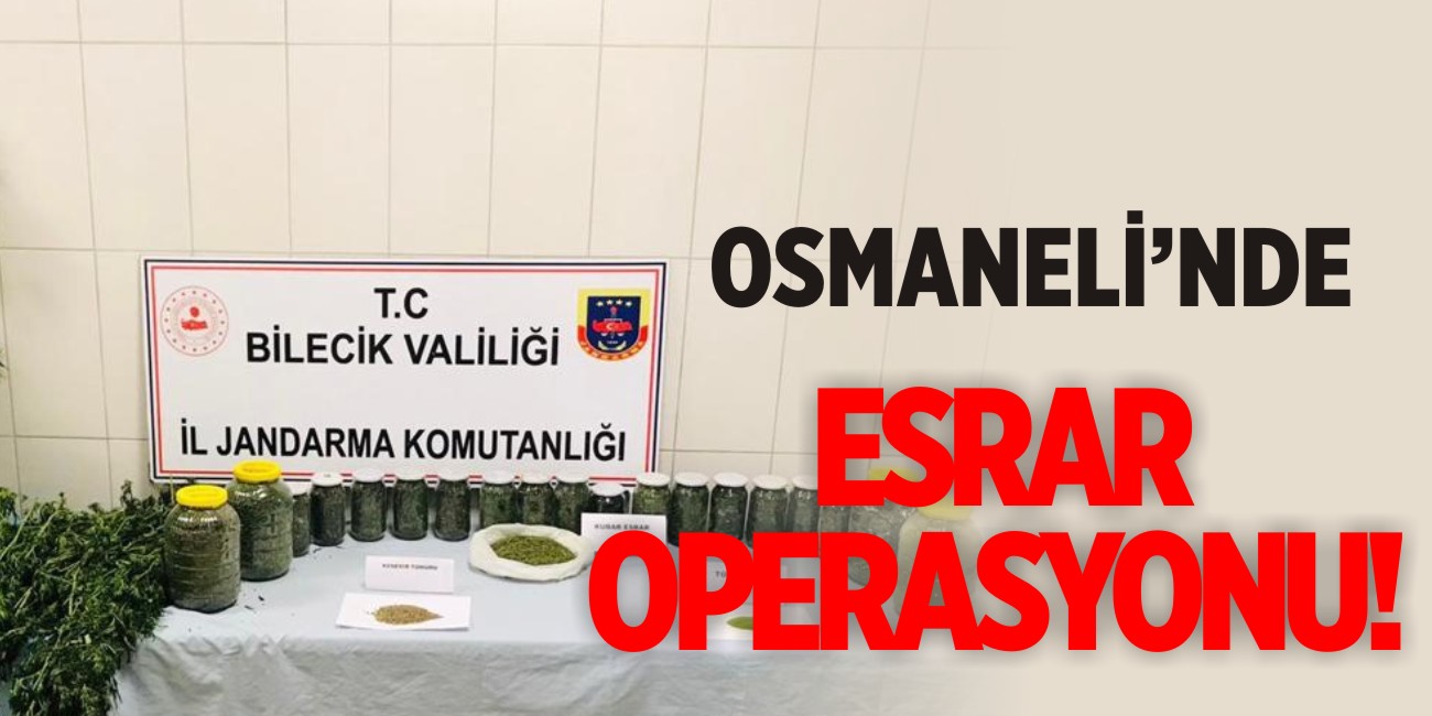 Osmaneli'nde esrar operasyonu!