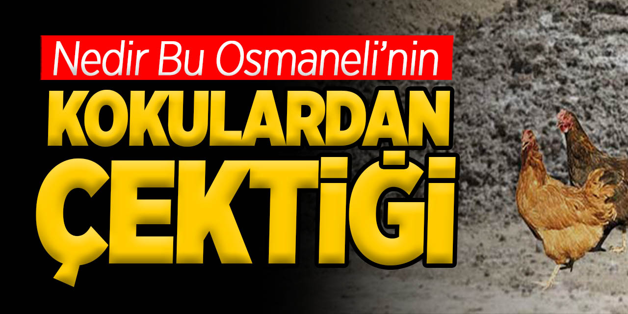 Nedir Bu Osmaneli'nin Kokulardan Çektiği