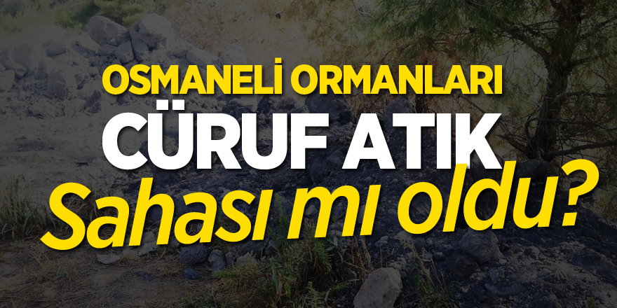 OSMANELİ ORMANLARI CÜRUF ATIK SAHASI MI OLDU?