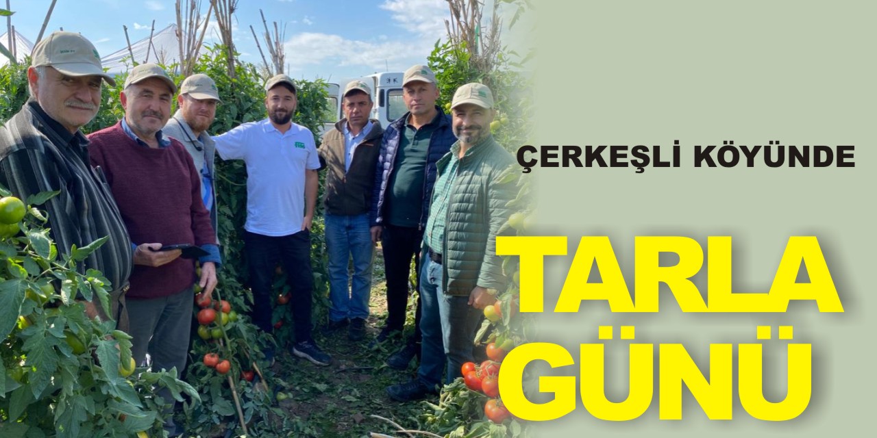 ÇERKEŞLİ KÖYÜNDE TARLA GÜNÜ