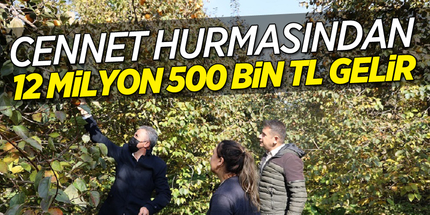 CENNET HURMASINDAN  BİLECİK’E 12 MİLYON 500 BİN TL GELİR