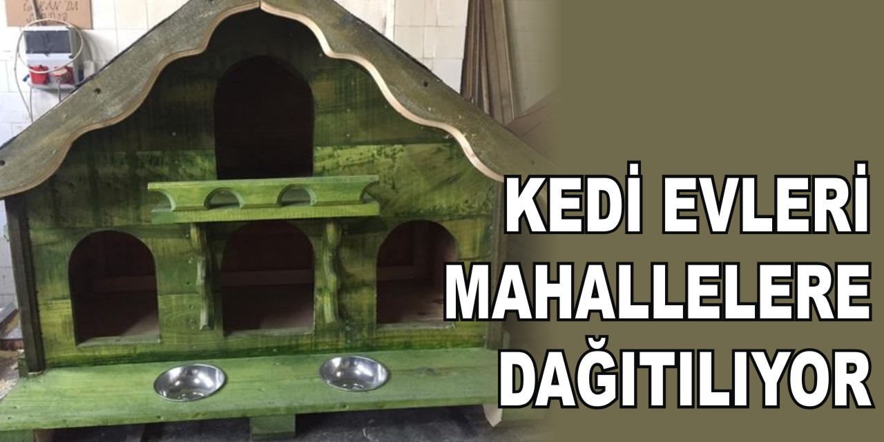 Kedi Evleri Mahallelere Dağıtılıyor