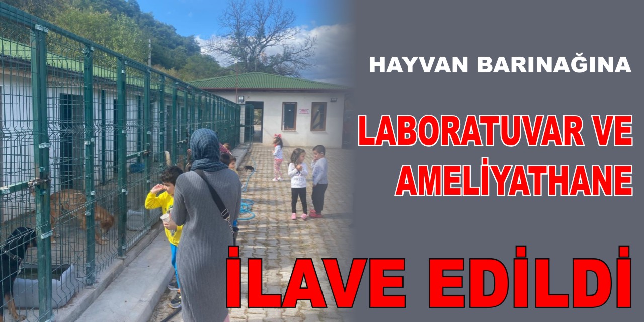 Hayvan Barınağına Laboratuvar Ve Ameliyathane İlave Edildi