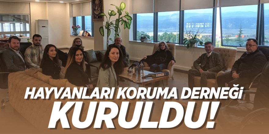 Osmaneli'nde hayvanları koruma derneği kuruldu