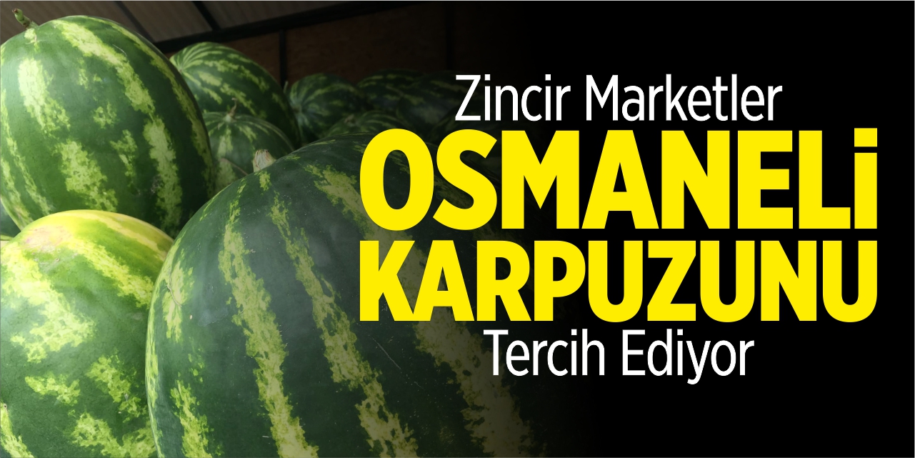 Zincir marketler Osmaneli karpuzunu tercih ediyor