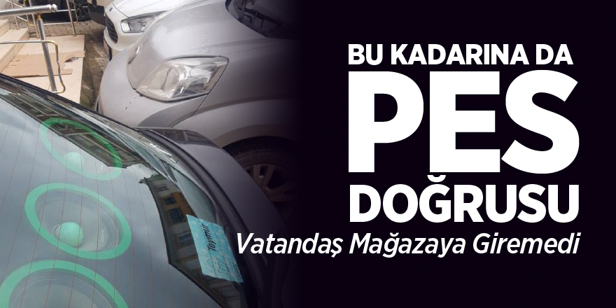 BU KADARINA DA PES DOĞRUSU