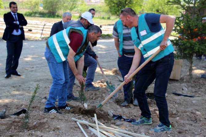 1500-sedir-cami-toprakla-bulustu-(3).jpg