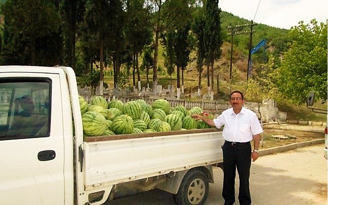 OSMANELİ KARPUZUNA TALEP ARTTI