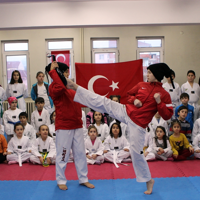 osmaneli-taekwondo-2.jpg